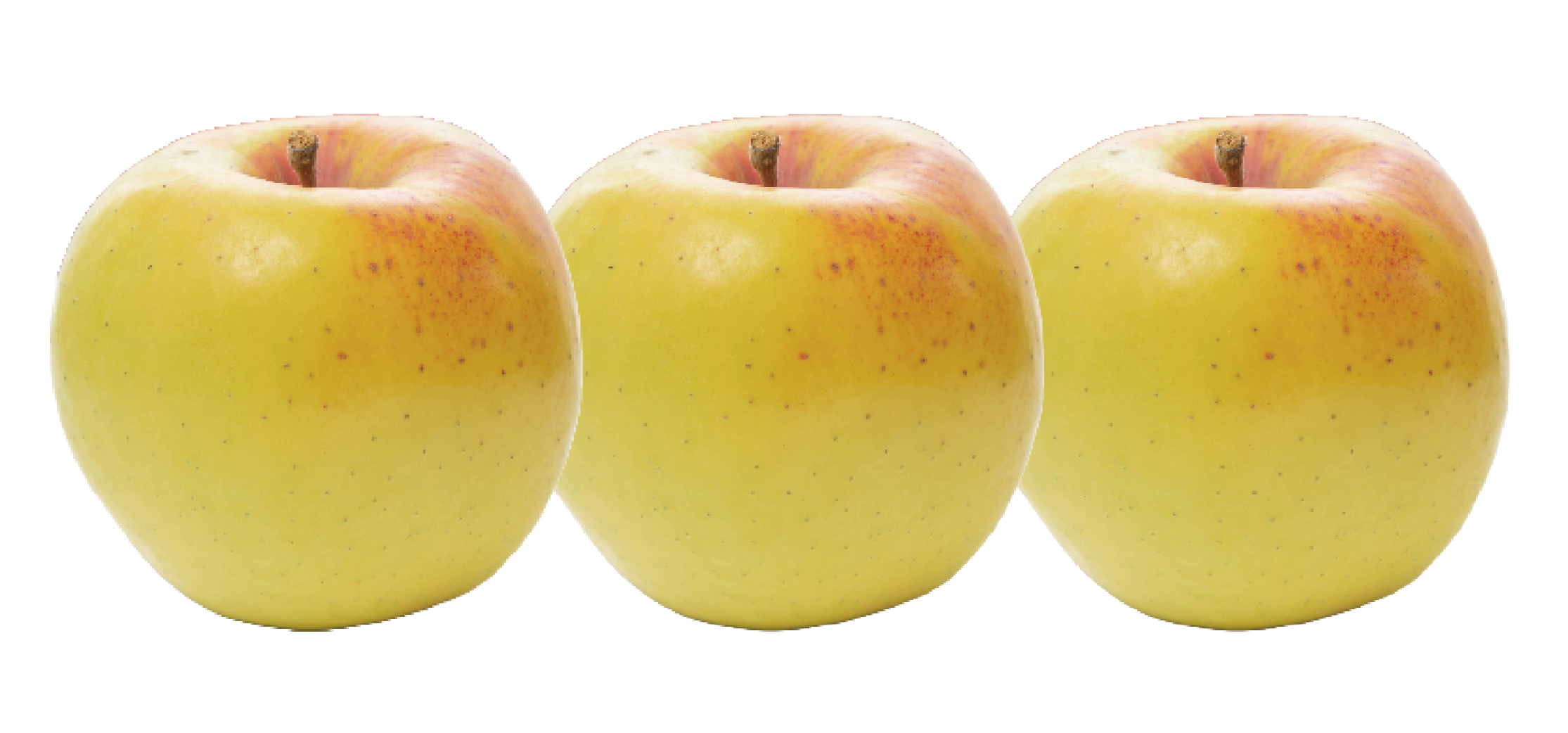 プレミアム3種詰め合わせ(ふじ、王林、ぐんま名月) | 産地直送通販 プレミアム3種詰め合わせ(ふじ、王林、ぐんま名月) | 産地直送通販