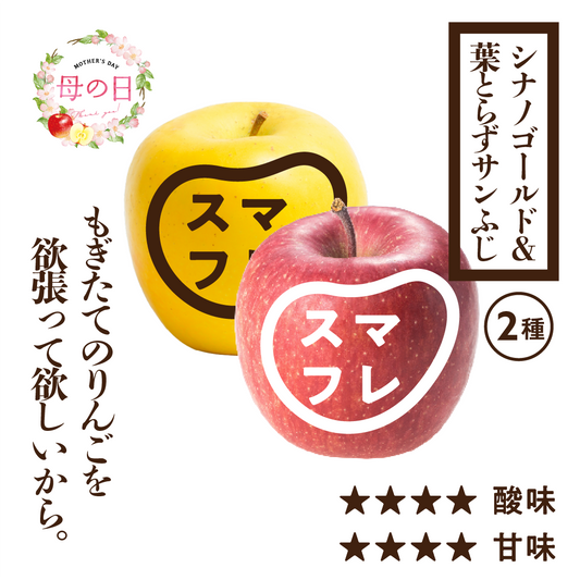【母の日特典付き】贈答用スマートフレッシュ葉とらずサンふじ&シナノゴールド