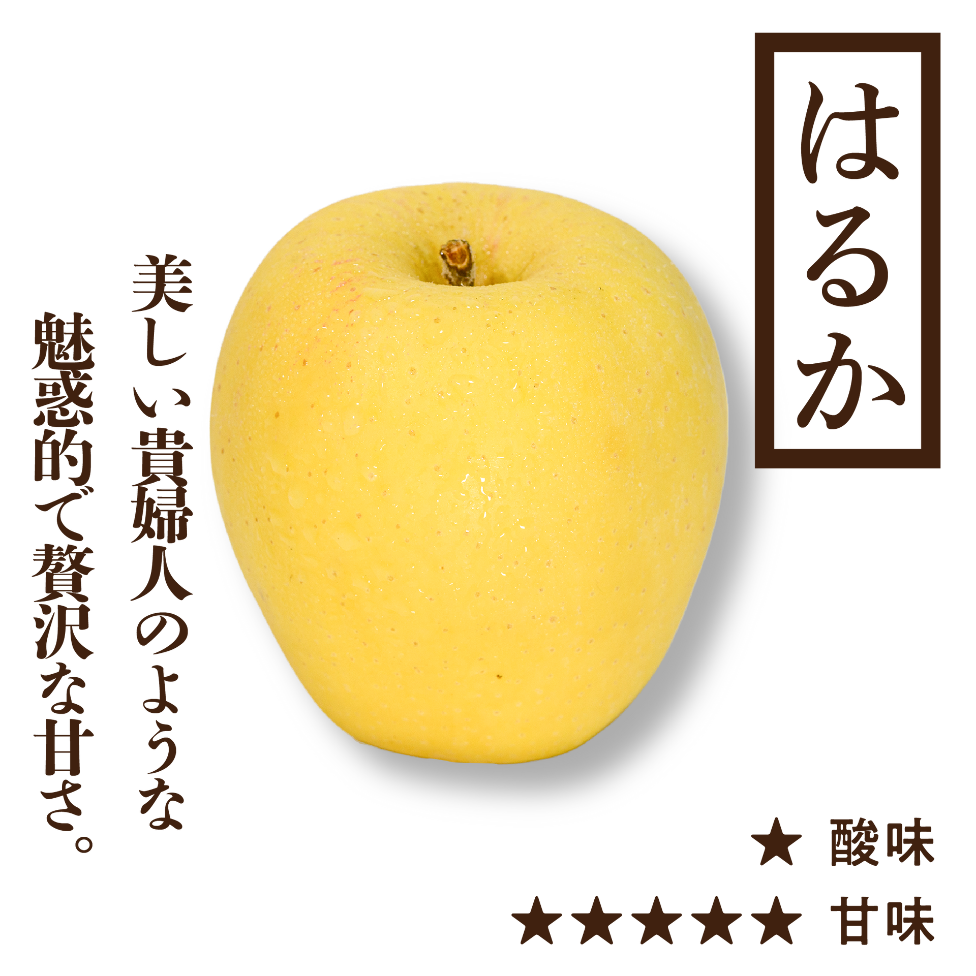 はるか | りんご通販 | 青森りんご | RED APPLE(レッドアップル)赤石農園 はるか | りんご通販 | 青森りんご | RED APPLE(レッドアップル)赤石農園