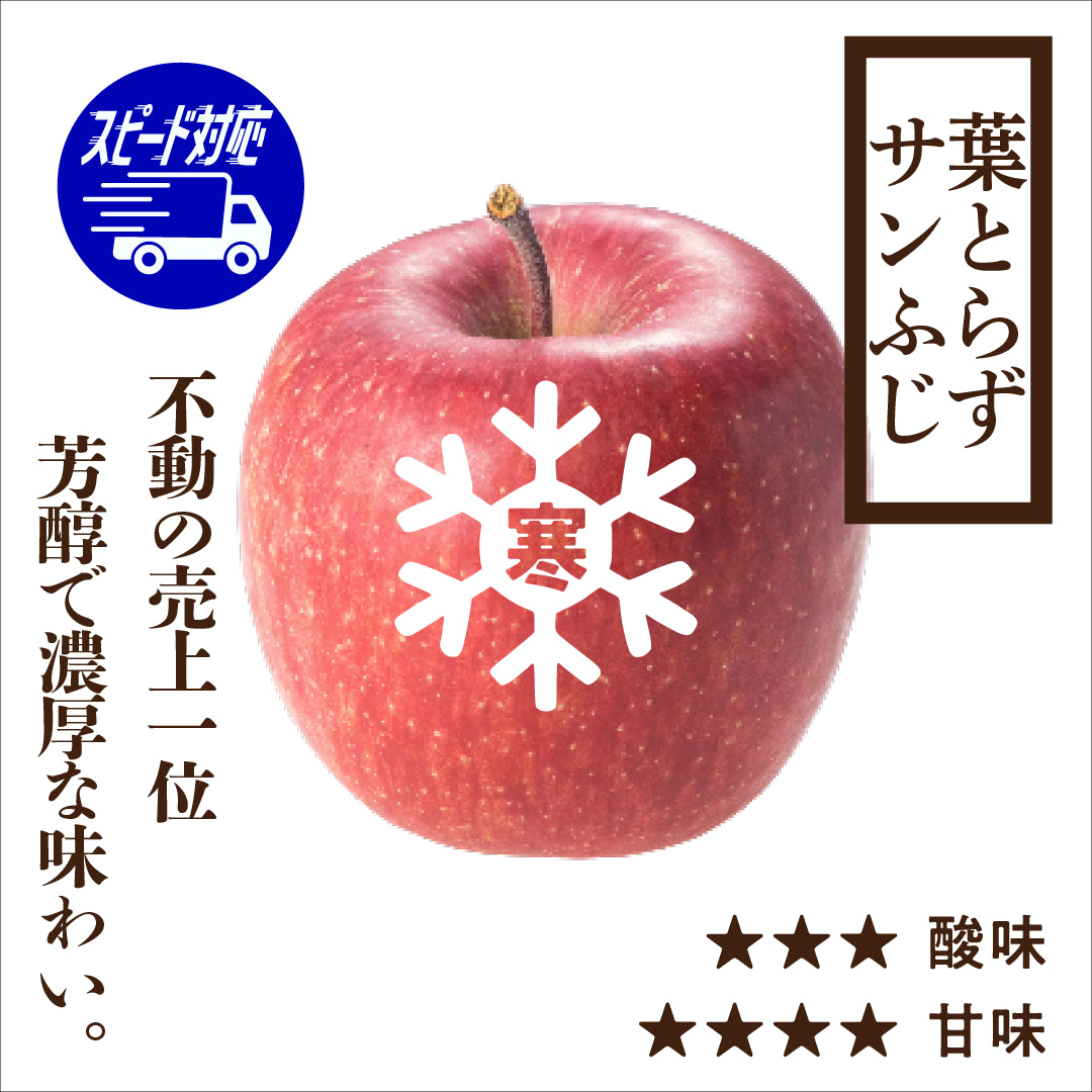 【お急ぎ便】寒じめ葉とらずサンふじ