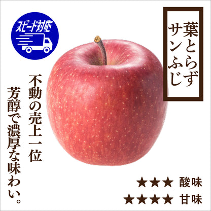 【お急ぎ便】贈答用葉とらずサンふじ