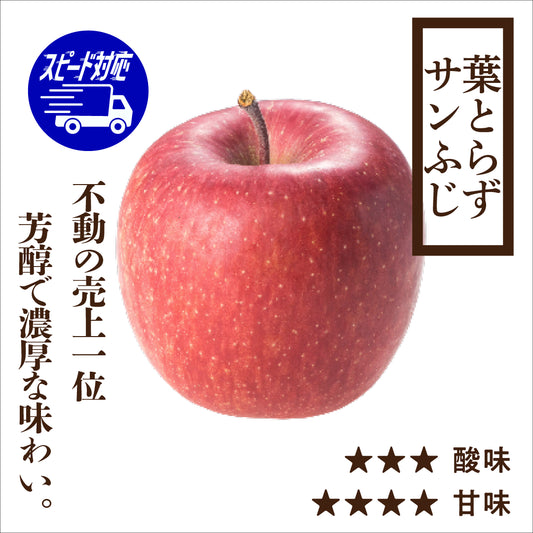 【お急ぎ便】寒じめ葉とらずサンふじ