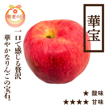 【敬老の日特典付き】贈答用華宝(かほう)[9/21(月)お届け]