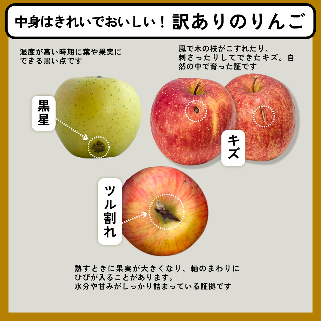 訳あり華宝(かほう)［予約］