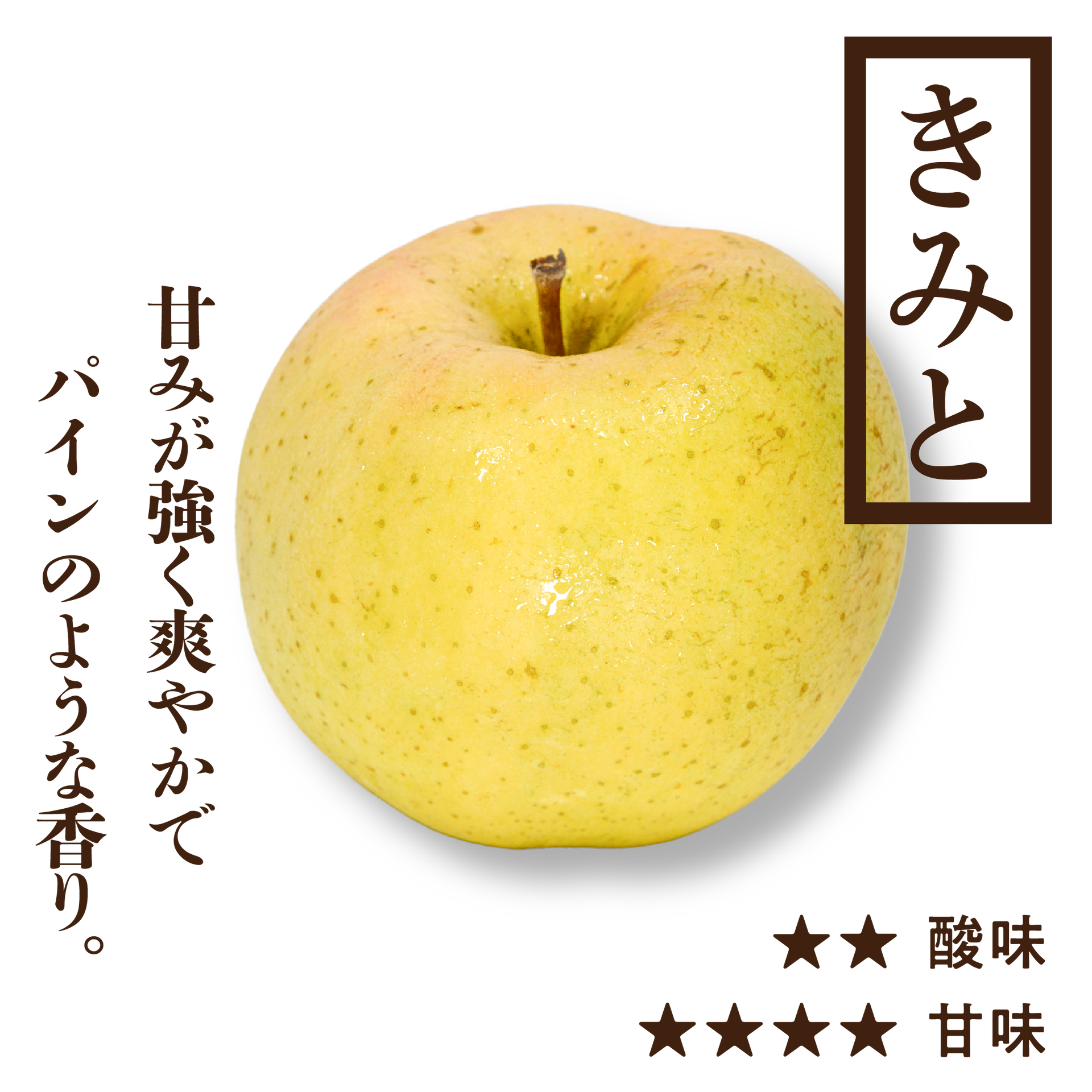 きみと | りんご通販 | 青森りんご | RED APPLE（レッドアップル）赤石農園
