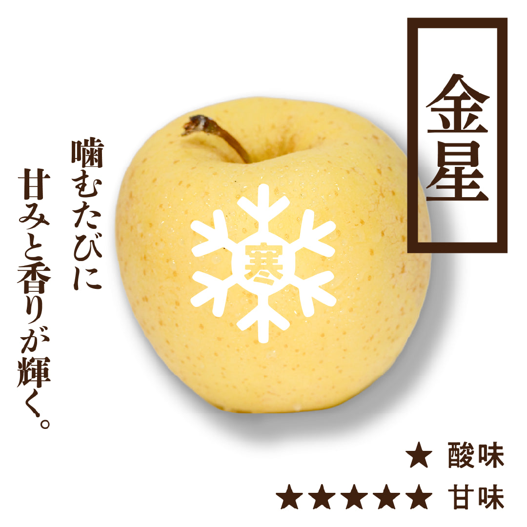 寒じめ金星(きんせい)