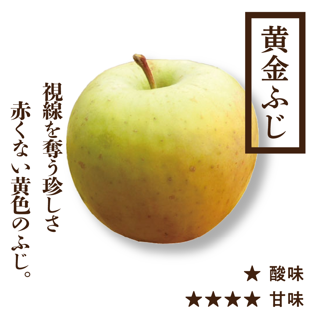 訳あり黄金ふじ(こがねふじ)［予約］