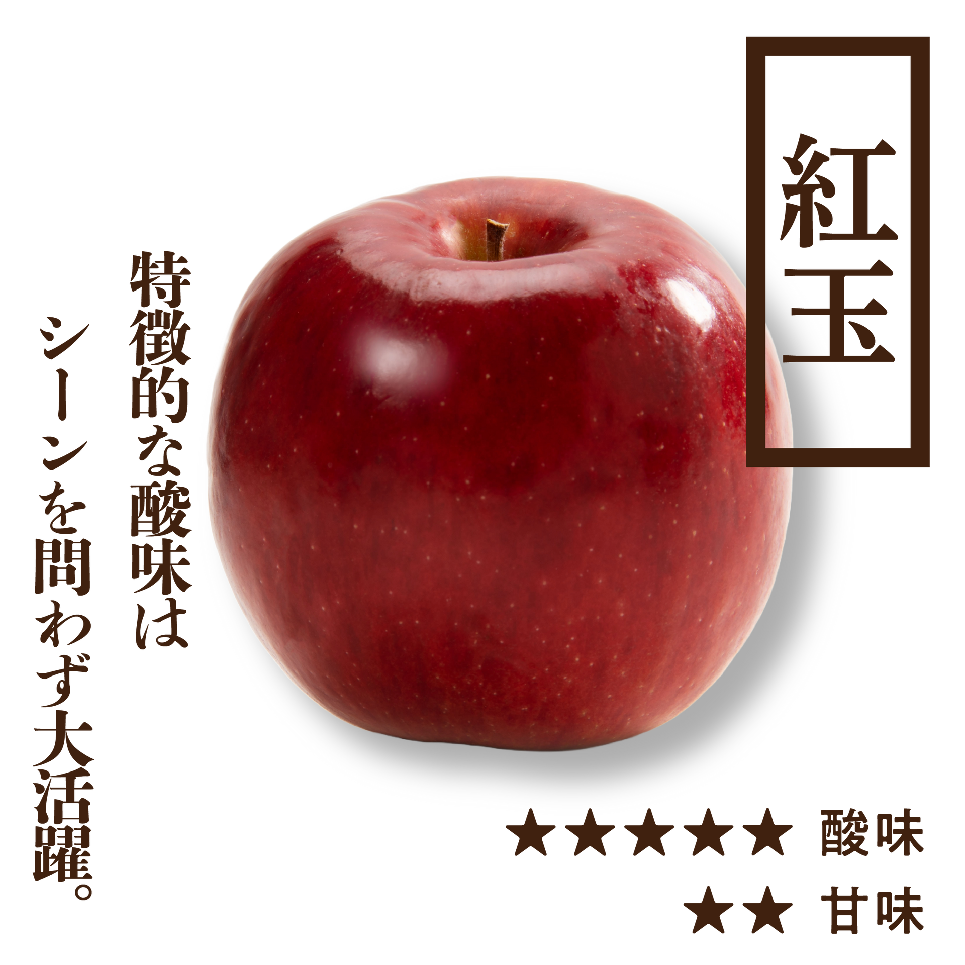 紅玉(こうぎょく) | 産地直送通販 | 青森りんご | RED APPLE（レッド