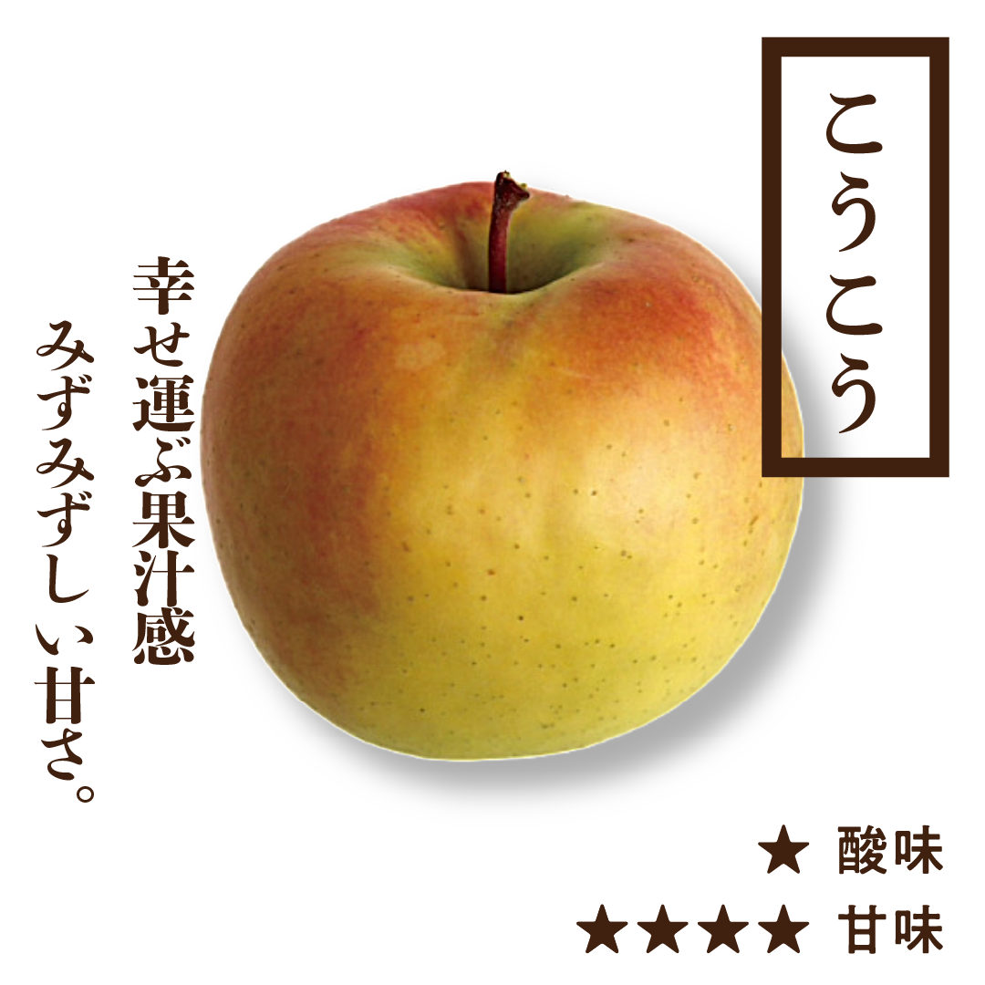 こうこう | りんご通販 | 青森りんご | RED APPLE(レッドアップル)赤石農園