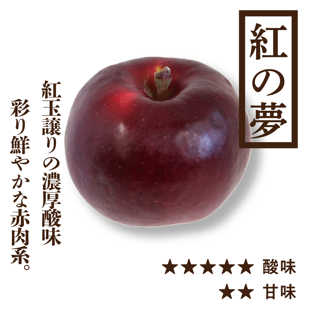 紅の夢(くれないのゆめ) | 産地直送通販 | 青森りんご | RED APPLE(レッドアップル)赤石農園