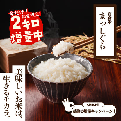 【増量中】令和7年産 青森米まっしぐら【数量限定】