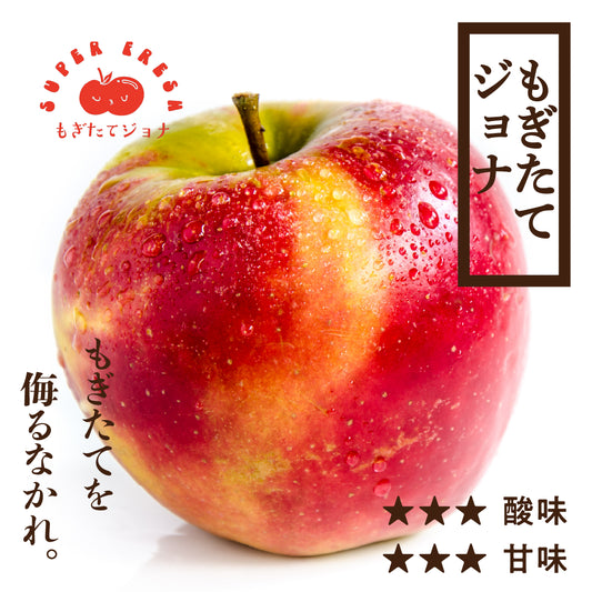 もぎたてジョナゴールド[予約:10月下旬収穫]
