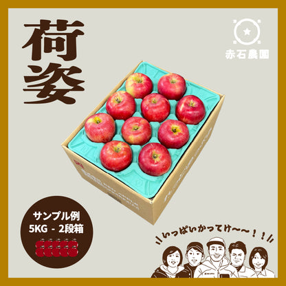品種おまかせ訳あり早生りんご［予約］