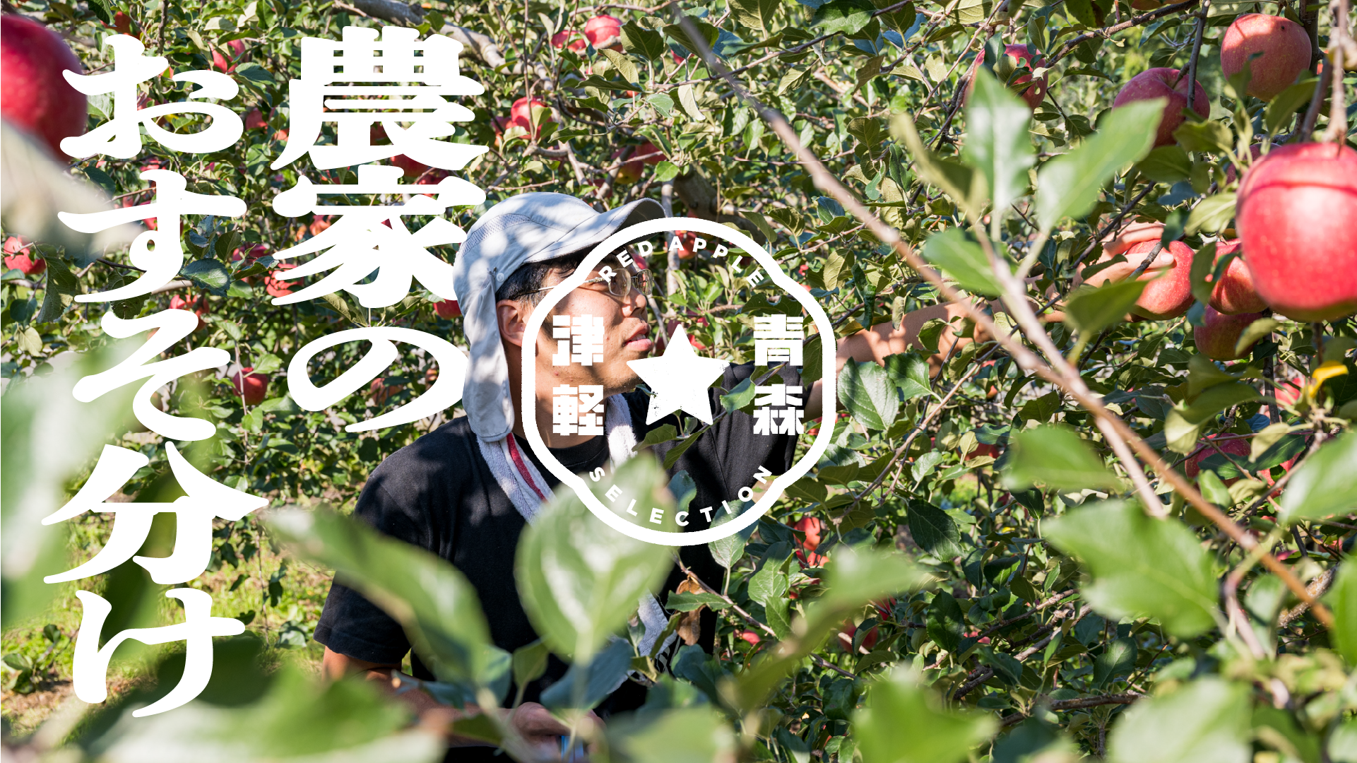 農家のおすそわけりんご | 産地直送通販 | 送料無料 | 青森りんご 農家のおすそわけりんご | 産地直送通販 | 送料無料 | 青森りんご