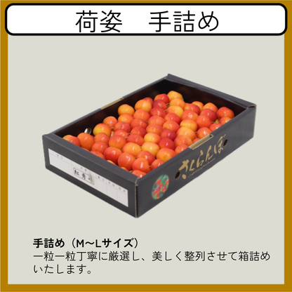 さくらんぼ 紅秀峰[予約:7月上旬出荷]
