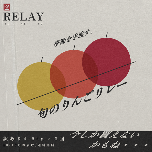訳あり 旬のりんごリレー[10～12月お届け]