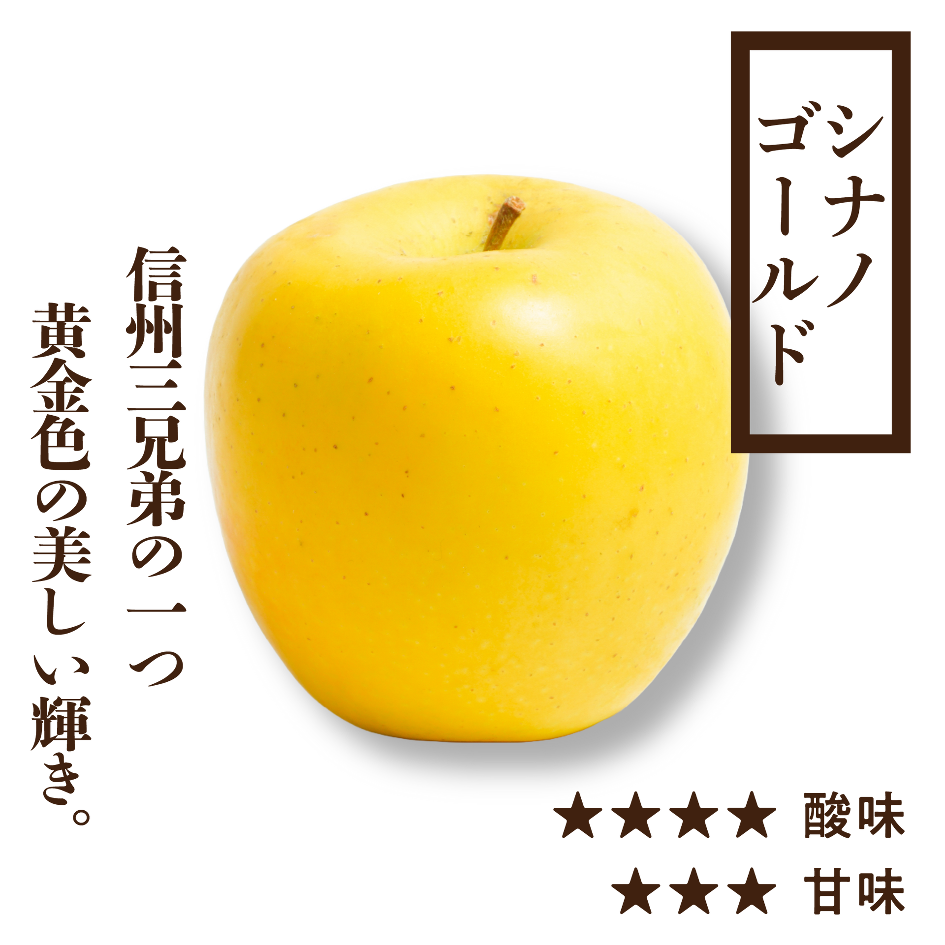 プレミアムりんご シナノゴールド | りんご通販 | 青森りんご | RED プレミアムりんご シナノゴールド | りんご通販 | 青森りんご | RED