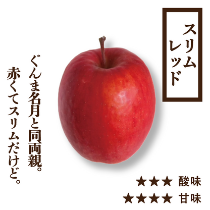 スリムレッド