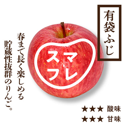 スマートフレッシュ 有袋ふじ | りんご通販 | 青森りんご | RED APPLE スマートフレッシュ 有袋ふじ | りんご通販 | 青森りんご | RED APPLE