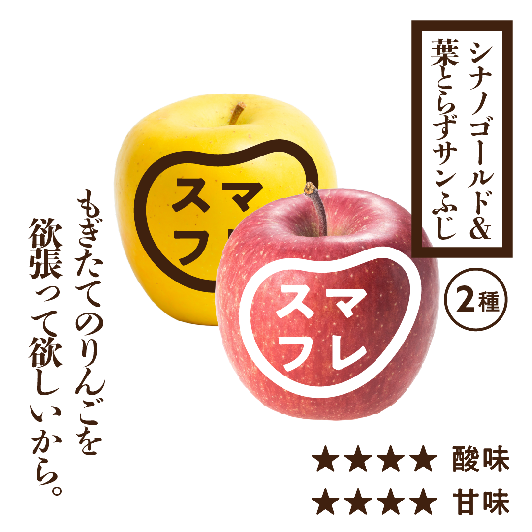 贈答用スマートフレッシュ葉とらずサンふじ&シナノゴールド