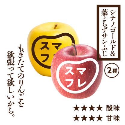 贈答用スマートフレッシュ葉とらずサンふじ&シナノゴールド