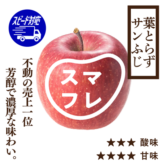 【お急ぎ便】スマートフレッシュ葉とらずサンふじ