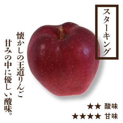 スターキング