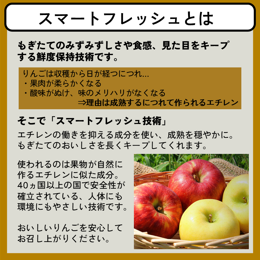 スマートフレッシュアルプス乙女