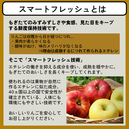 スマートフレッシュアルプス乙女