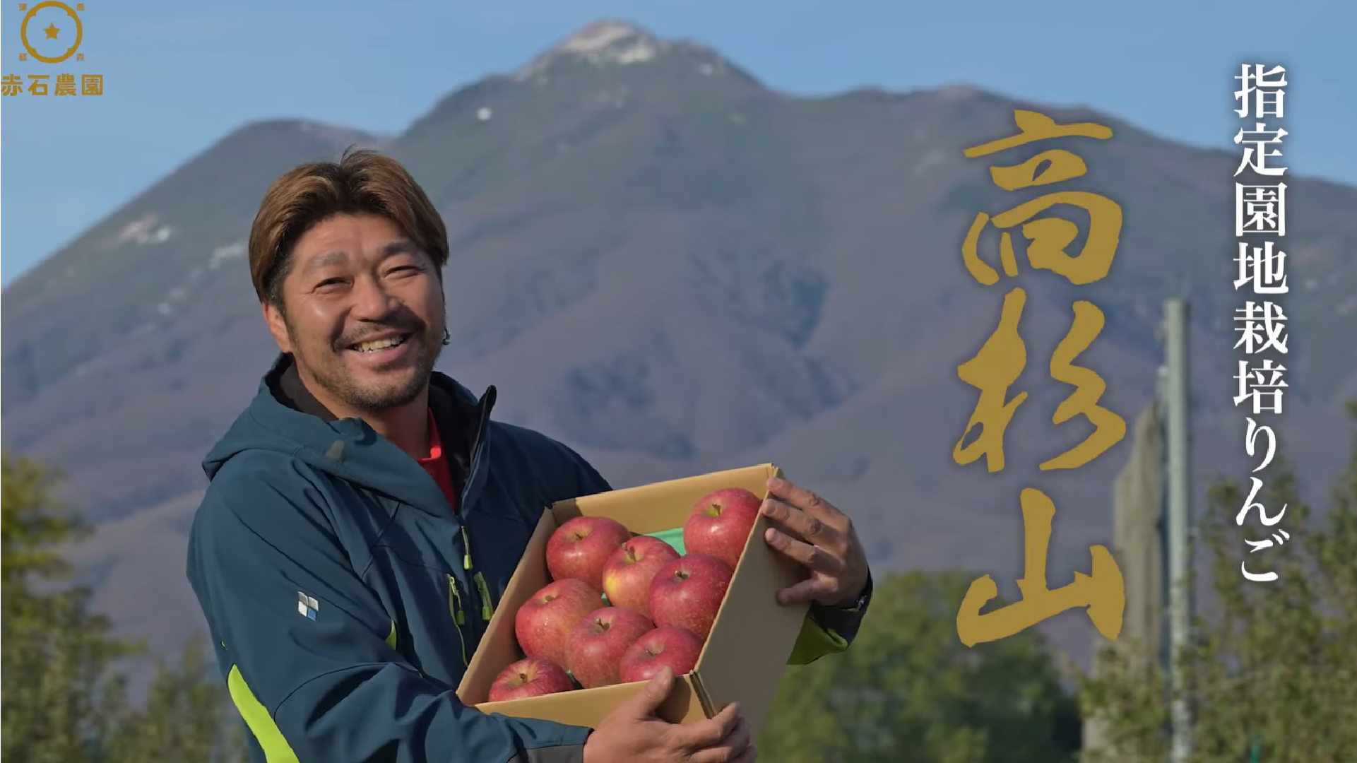 動画を読み込む: MOVIE