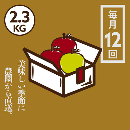 青森りんご定期便 2.3kg 12回コース