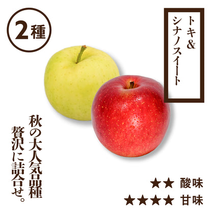 訳ありトキ＆シナノスイート[予約:10月下旬収穫]