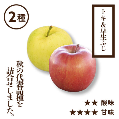 【早期予約】早生ふじ＆トキ[予約:10月上旬収穫]