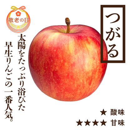 【敬老の日特典付き】贈答用つがる[9/21(月)お届け]