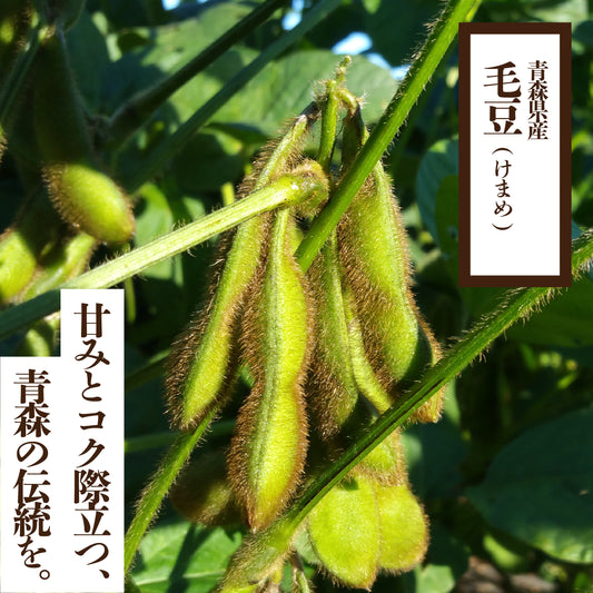 毛豆