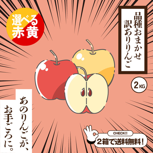 お試しサイズ　品種おまかせ訳ありりんご　［予約］